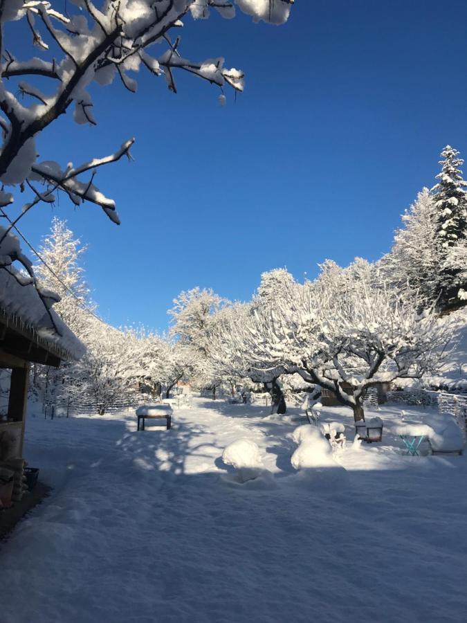 La Cerisole Lägenhet Saint-Étienne-de-Tinée Exteriör bild