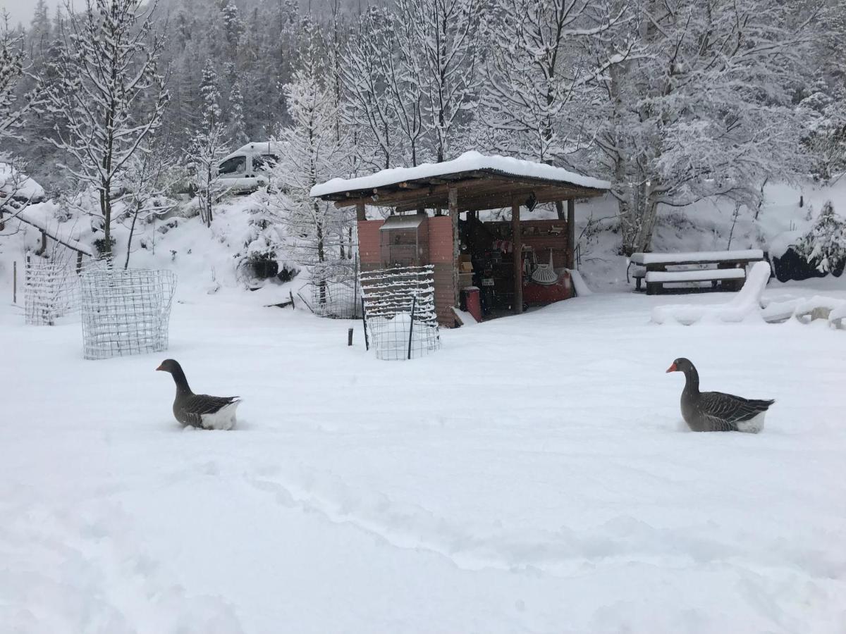 La Cerisole Lägenhet Saint-Étienne-de-Tinée Exteriör bild