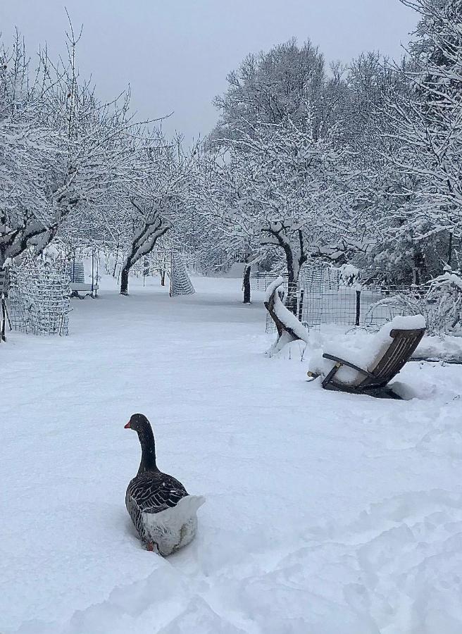 La Cerisole Lägenhet Saint-Étienne-de-Tinée Exteriör bild