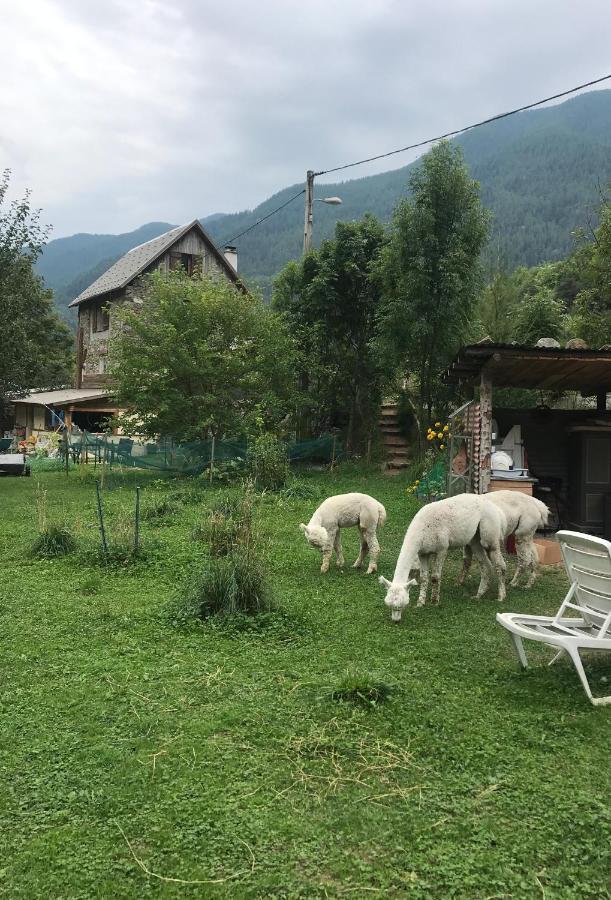 La Cerisole Lägenhet Saint-Étienne-de-Tinée Exteriör bild