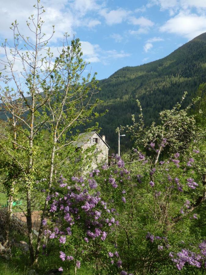 La Cerisole Lägenhet Saint-Étienne-de-Tinée Exteriör bild